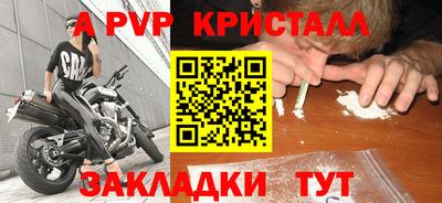 ПСИЛОЦИБИНОВЫЕ ГРИБЫ Кингисепп