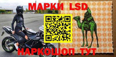 ПСИЛОЦИБИНОВЫЕ ГРИБЫ Кингисепп