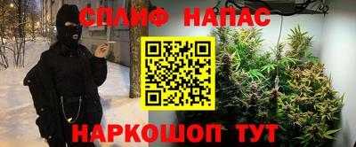 спиды Кинель