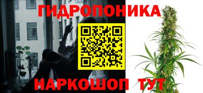 мяу мяу мука Кимры