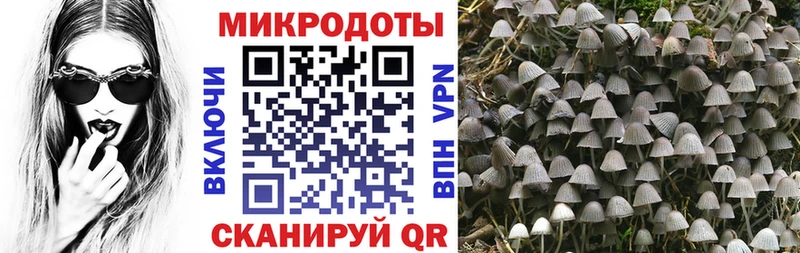 Галлюциногенные грибы MAGIC MUSHROOMS  Ипатово 